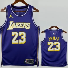 2025-26 Lakers JAMES #23 Purple Top Quality Hot Pressing NBA Jersey (Trapeze Edition) 飞人版