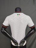 2026 Mexico away jersey