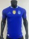Player version 2425 Argentina away