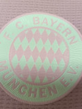 24-25 Bayern Special Edition Player Version Soccer Jersey *