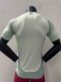 Player version 2425 Mexico away