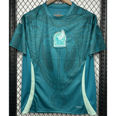 24-25 Mexico Green Blue Training shirts