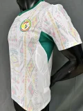 26-27 Senegal Home Player Version Soccer Jersey