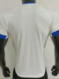 25-26 Bayern Grey Special Edition Player Version Soccer Jersey
