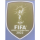 World Champions 2022世界杯胸前盾