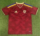 2026 Venezuela home jersey