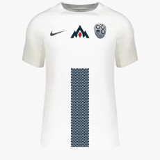 24-25 Slovenia Home Fans Soccer Jersey