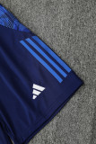 24-25 AL-Nassr Royal Blue Tank top and shorts suit