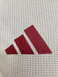 2025-26 LIV Beige Player Version Training shirts