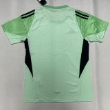 2025-26 Benfca Green GoalKeeper Soccer Jersey