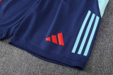 24-25 Flamengo Light green Training Short Suit