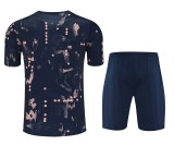 Chelsea 2025/26 Training Kit