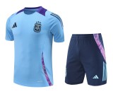 Argentina National Team 2024/25 Training Kit