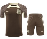 Corinthians Brown/White Training Kit