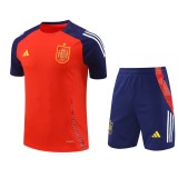 Spain National Team Training Kit