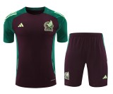 Mexico Neon Green/Dark Green/Maroon Training Kit