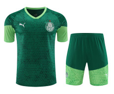 Palmeiras 2024-25 Training Kit (Dark Green/Lime)