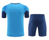 Palmeiras 2024-25 Training Kit (Teal/Blue)