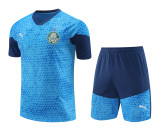 Palmeiras 2024-25 Training Kit (Teal/Blue)