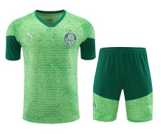 Palmeiras 2024-25 Training Kit (Green/Lime)