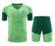 Palmeiras 2024-25 Training Kit (Green/Lime)