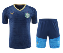 Palmeiras 2024-25 Training Kit (Blue/Teal)
