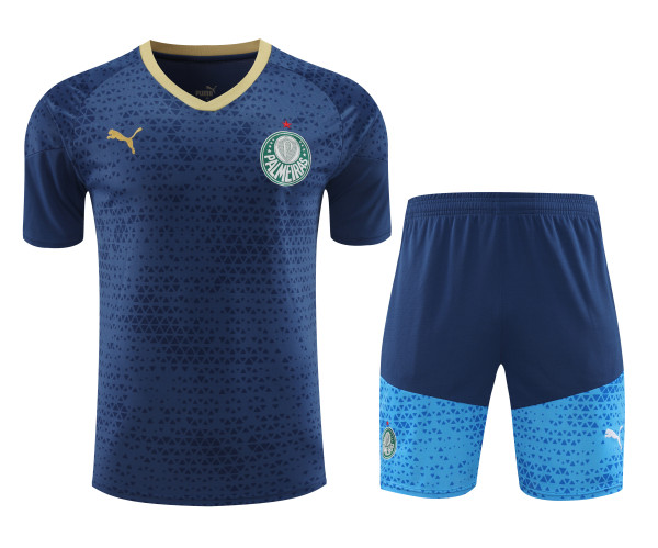 Palmeiras 2024-25 Training Kit (Blue/Teal)