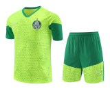 Palmeiras 2024-25 Training Kit (Lime Green/Green)