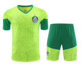 Palmeiras 2024-25 Training Kit (Lime Green/Green)