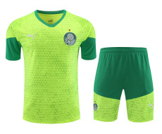 Palmeiras 2024-25 Training Kit (Lime Green/Green)