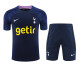 Tottenham Hotspur Pre-Match Warm-Up Kit
