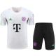 Bayern Munich Concept Kit (White with Purple & Green Accents)