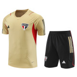 Sao Paulo FC 2024/25 Training Kit - Matte Gold Base with Red & Black Accents