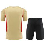 Sao Paulo FC 2024/25 Training Kit - Matte Gold Base with Red & Black Accents
