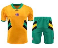Bayern Munich 2024/25 Pre-Match Training Kit - Orange Pinstripe with Green, Black & Gold Geometric Accents