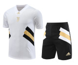 Juventus 2024/25 Pre-Match Training Kit - White Pinstripe with Black & Gold Geometric Accents