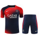 Paris Saint-Germain 2023/24 Pre-Match Training Kit - Red/Navy Fade/White