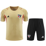 Sao Paulo FC 2024/25 Training Kit - Matte Gold Base with Red & Black Accents