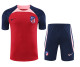 Atletico Madrid Red Navy Pink Paneled Concept Kit