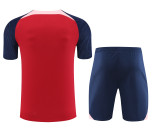 Atletico Madrid Red Navy Pink Paneled Concept Kit