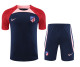 Atletico Madrid Navy Red Pink Paneled Concept Kit