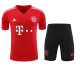 Bayern Munich Red Black Classic Concept Kit