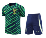 Brazil 2022 World Cup Pre-Match Training Kit (Tiger Print)