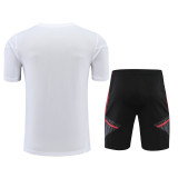 Bayern Munich 2022/23 Training Kit - Short Sleeve Jersey & Shorts