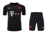 Bayern Munich 2024-2025 Training Kit (Short Sleeve + Shorts)