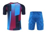 Barcelona Mixed Color Training Kit – Navy Blue/Royal Blue/Burgundy