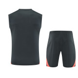 Bayern Munich 2025-2026 Sleeveless Training Kit