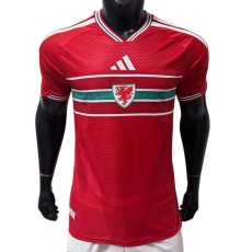 2026-27 Mens Wales home red  Player version Soccer Jersey