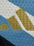2026-27 Mens Argentina Special Edition Player version soccer  Jersey