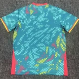 2026-27 Mens Cameroon Home Fans Soccer Jersey